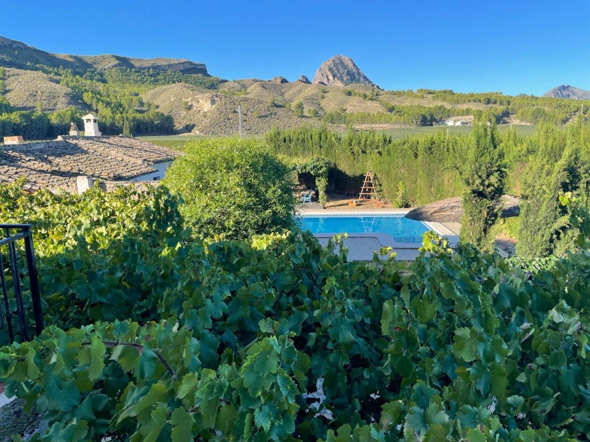Вилла Casas Rurales El Cabezo De La Torre Сьеса Экстерьер фото